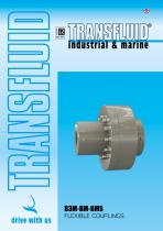 B3M-BM-BMS FLEXIBLE COUPLINGS-1