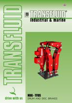 NBG - TFDS DRUM AND DISC BRAKES-1