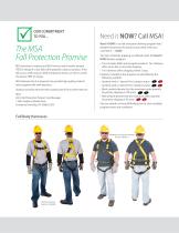 Expedited Delivery Program for Fall Protection Products-2