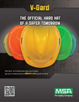 HeadProtection-1