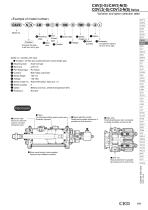 Cylinder with valve CAV2, COVP2, COVN2 - 3