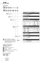 Guided cylinder STM - 12