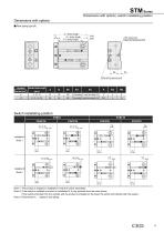 Guided cylinder STM - 15