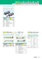 Pneumatic cylinders - 2