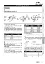 Rodless cylinder SRL3 - 6