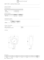 BDT17-08 - Test pressure gauge 0.25% - 2