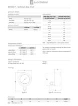 BDT20-P - Overpressure protected stainless steel solid front gauge-2