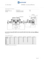 BDTM957 ? FIVE VALVE MANIFOLD-2