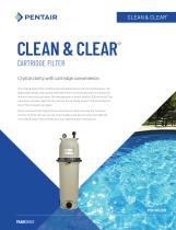 Clean and Clear Cartridge Filter-1