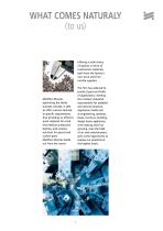 Catalog-3