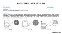 Snowwhite2 enduser patent report-8
