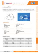 Union Optic-prism-10