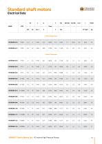 A.C. Motors High Pressure Pumps - 13