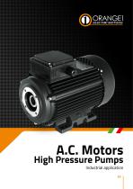 A.C. Motors High Pressure Pumps - 1