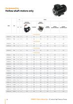 A.C. Motors High Pressure Pumps - 20