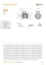 Gradual Brake Motors - 11