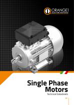 Single Phase Motors technical  datasheets - 1