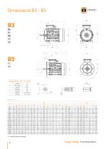 Three Phase Motors - IE1 - 8