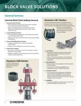 Valve Sealing Program-6