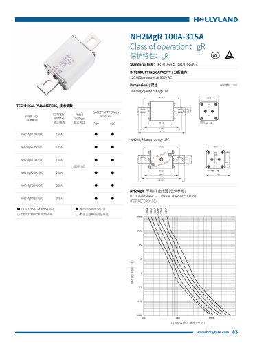 gR FUSE NH2MgR 100A-315A