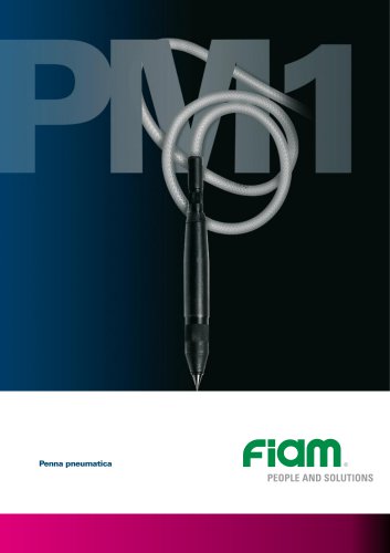 Penna pneumatica