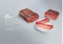 Fast Ham System-22