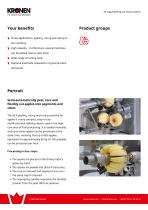 AS 4 apple peeling and slicing machine-2