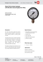 Heavy Duty pressure gauges - 1