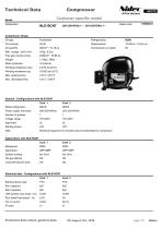 DLE compressor - 1