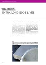 PANEL SIZING SAW BLADES Tungsten Carbide & Diamond-4