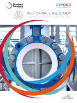 Industrial Heavy-Duty Butterfly Valves-1