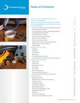 Spring-Energized Seals Handbook (US Metrics)-4