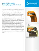 Spring-Energized Seals Handbook (US Metrics)-7