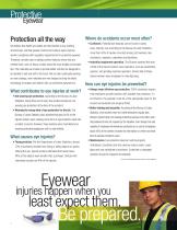 3M? Protective Eyewear Catalog - 2