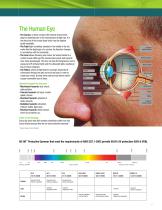 3M? Protective Eyewear Catalog - 5