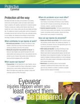 3M Protective Eyewear Catalog HR - 2