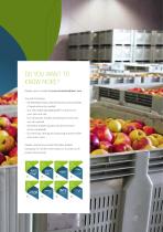 Rigid Pallet Containers-19