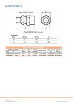 BALL CHECK VALVE-2