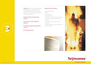 Teijin Aramid Corporate Brochure - 14