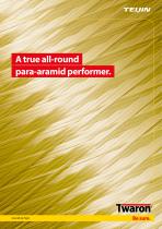 A true all-round para-aramid performer - 1