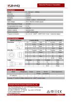 ZHYQ Explosion Proof Pressure Transmitter PT124B-215 pressure measurement for Hazardous Locations-2