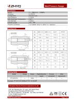 ZHYQ PT124Y-614 Mechanical flexible stem melt pressure gauge - 2