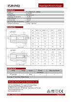 ZHYQ PT124Y-622 diaphragm pressure gauge for homogenizer machine-2