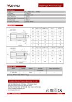 ZHYQ PT124Y-624 diaphragm pressure gauge for homogenizer machine - 2