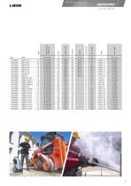 Professional-11