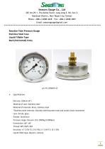 Seasons Gauge 100mm (4") Stainless Steel Liquid Fillable Pressure Gauge Back Entry - 1