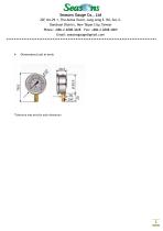 Seasons Gauge 50mm (2") Stainless Steel Liquid Fillable Pressure Gauge Bottom Entry-2