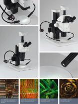 LED3000 NVI-6