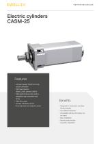 Electric cylinders CASM-25-2