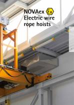 Electric wire rope hoists/Chain Hoists/Crane components - 11